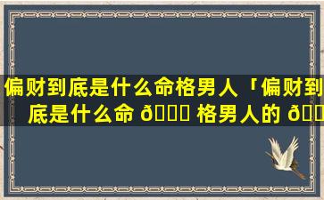 偏财到底是什么命格男人「偏财到底是什么命 🐒 格男人的 🕸 命运」